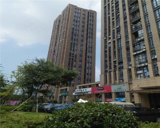 青苹果朝南公寓便宜出售 精装一年家电全送 看