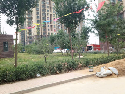 西仰陵人口_西仰陵小区美女