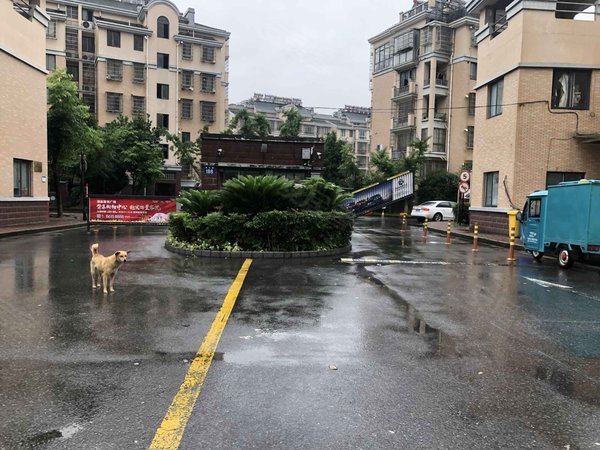 嘉兴小区 海盐小区 城区小区 古荡佳苑实景图 1/ 12  