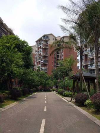 背对小区中心花园,蒲阳河边清水电梯房.套三双卫优价售了