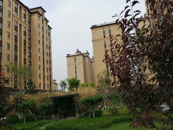 枣庄小区 薛城小区 新城小区 鸿鑫俊景实景图 1/ 7  