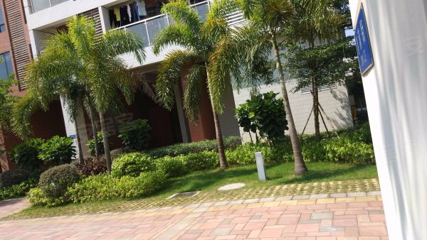 荔林春晓 稀有房源放出 黄 金地段离地铁口500米 即买即赚