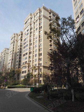 徐州二手房 丰县二手房 丰县二手房 欢乐城 