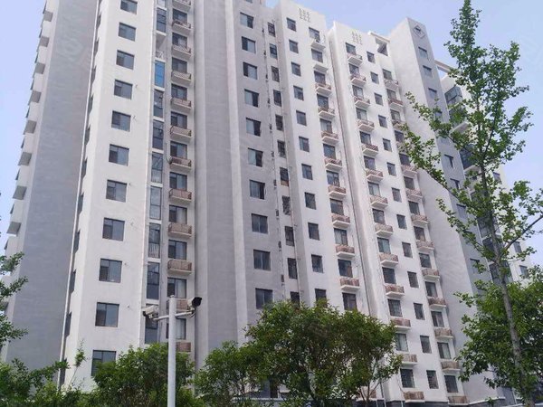 临沂小区 费县小区 费县城区小区 东方嘉苑小区 实景图 1/ 16 