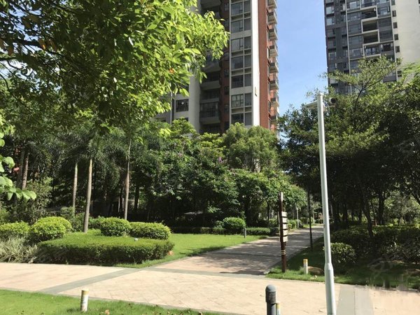 达鑫江滨新城二三期,北王公路-东莞达鑫江滨新城二三期二手房,租房