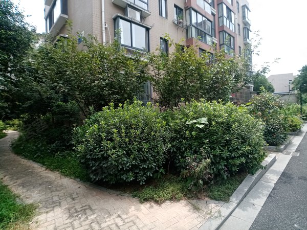 银都丽景,明珠路-长兴银都丽景二手房,租房-长兴安居客