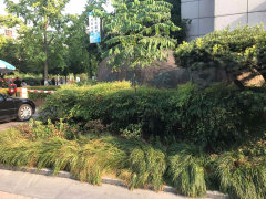 国泰花园 公寓住宅 二手房房价走势 杭州萧山萧山市区国泰花园 公寓住宅 二手房最新房源信息出售 杭州58安居客