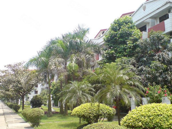 广州小区 南沙区小区 南沙北小区 > 东涌名苑  实景图 1/ 20 