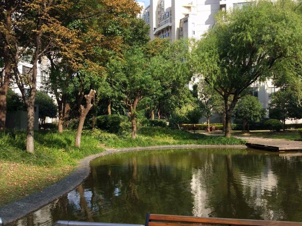 中星海上景庭 张杨路1811弄 上海中星海上景庭二手房 租房 上海安居客