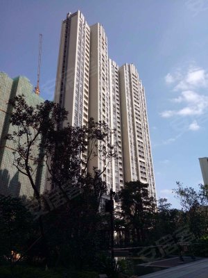 富丰君御,佛平四路1号-佛山富丰君御二手房,租房-佛山安居客