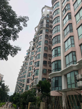 樟木头二手房 东城广场二手房 明华地产 明华地产龙珠总店 邓柏华的