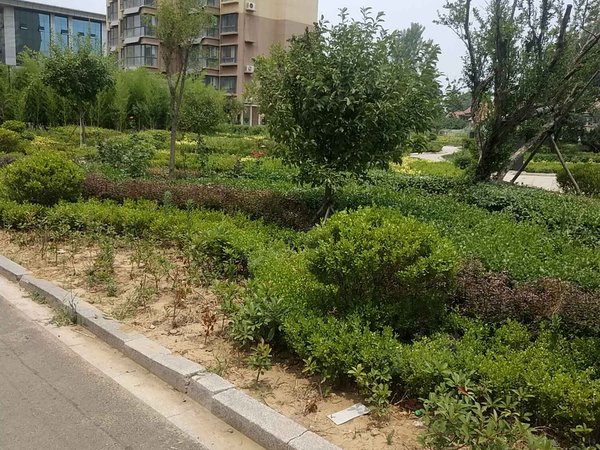 临沂小区 沂水小区 莲旺街小区 翡翠御园