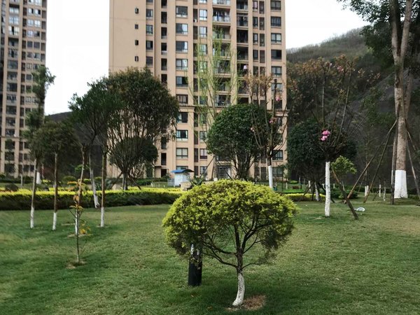 康德城(a2区),新村路 - 重庆康德城(a2区)二手房,租房,房价-重庆安居