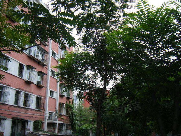 北京小区 朝阳小区 双井小区 > 垂杨柳北里  实景图 1/ 30  &