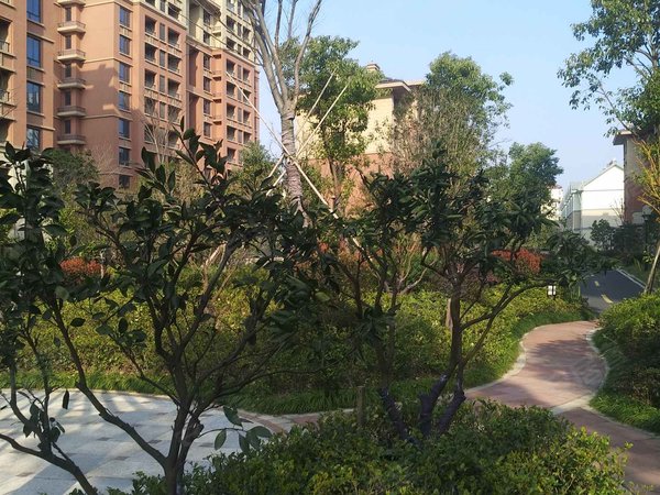 欣丰佳苑户型图实景图片