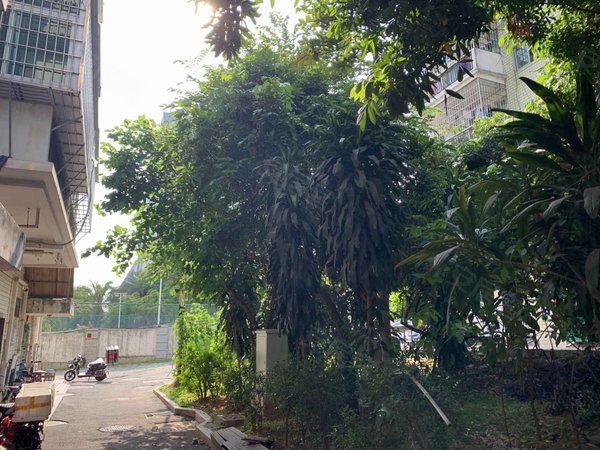 小东山新村安置房