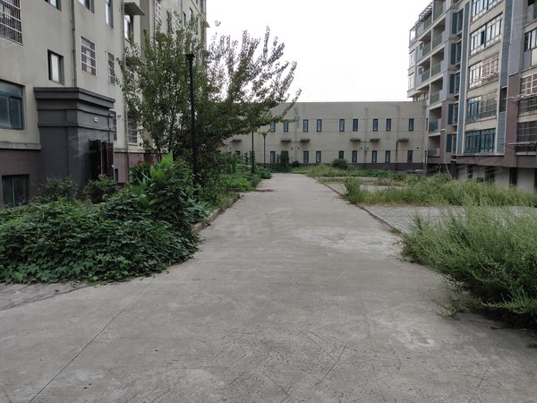 合肥小区 巢湖小区 巢湖周边小区 滨湖花园实景图 1/ 9  