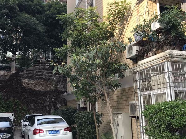 金帝花园,岳阳西里116-130号,仙岳路189-193号 - 厦门金帝花园二手房