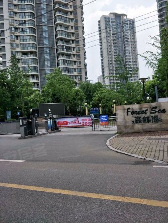 森林海(南北通透两房,户型超赞)(中间位置,采光全天)急售