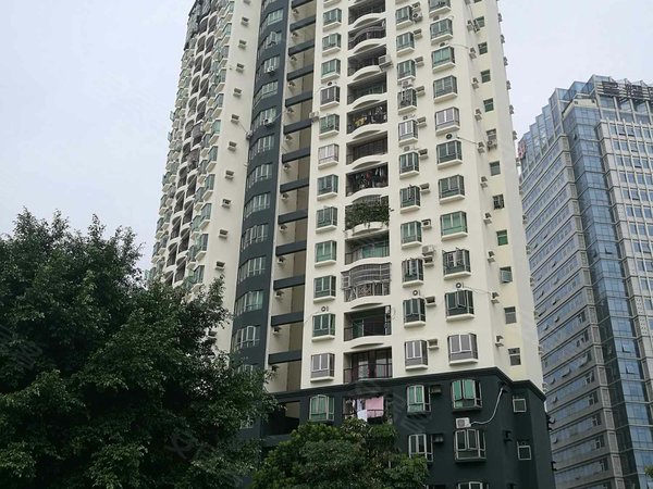 深圳小区 深圳周边小区 东莞小区 泰安城 实景图 1/ 19  