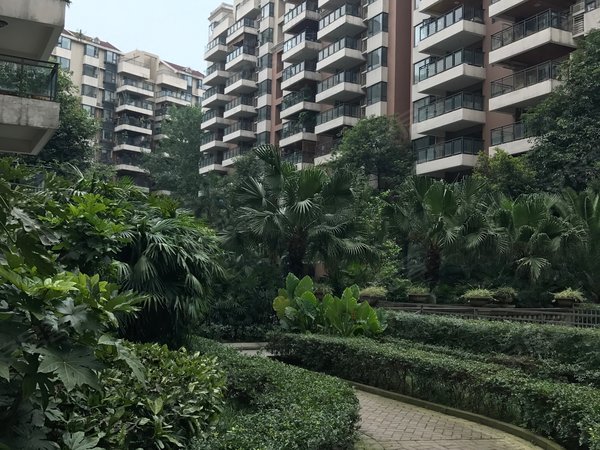 美洲花园,南三环路五段188号附321号-成都美洲花园二手房,租房-成都