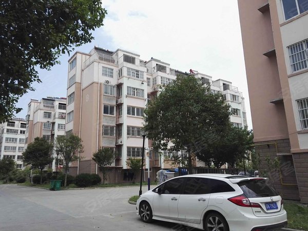 沭阳小区 沭城小区 上海中路小区 幸福家园二期(沭阳)实景图 1 16&