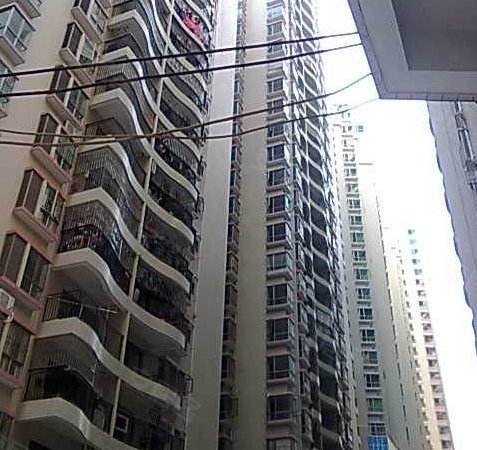 深圳小区 龙岗小区 丹竹头小区 荔枝花园 实景图 1/ 10  