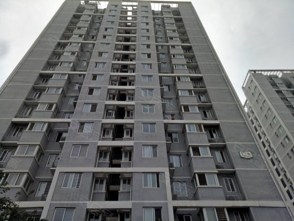 古渡家园户型图实景图片