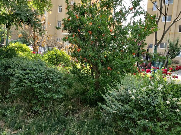 西安小区 阎良小区 新华路小区 航城佳苑实景图 1/ 10  