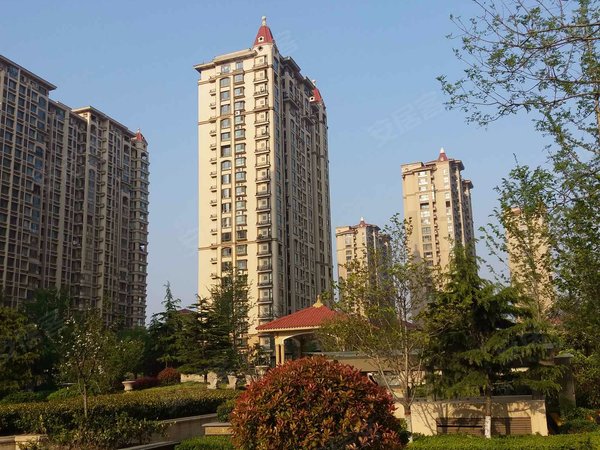 中南世纪城,重庆中路903号 -青岛中南世纪城二手房,租房-青岛安居客