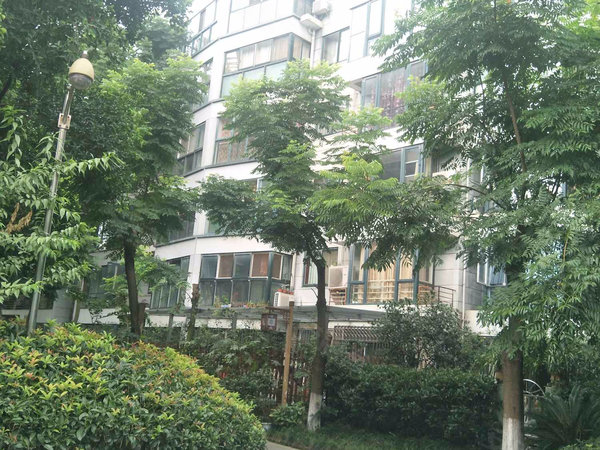 龙景花园 百卉路21号 成都龙景花园二手房 租房 成都安居客 龙景花园 百卉路21号 成都龙景花园二手房 租房 成都安居客