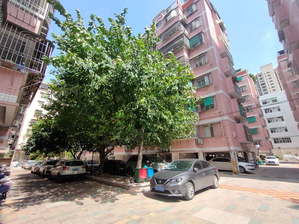 金燕花园,金江路8号-汕头金燕花园二手房,租房-汕头安居客