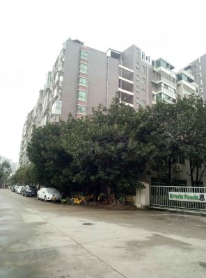 金威大厦 龙华-大浪-龙观西路