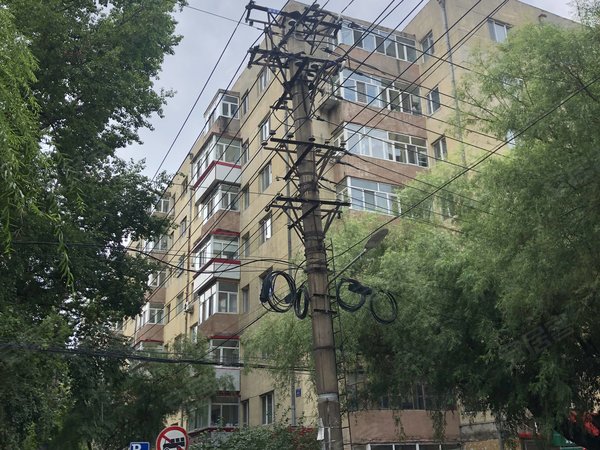 比乐街101号小区,比乐街101号-哈尔滨比乐街101号小区二手房,租房