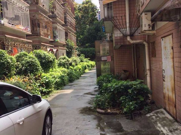 福建省统计局住宅 华林横巷15号 福州福建省统计局住宅二手房 租房 福州安居客