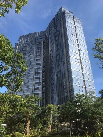 海峡现代城,翔安新城租房,便宜笋价出租 海峡现代城精装修,翔安租房