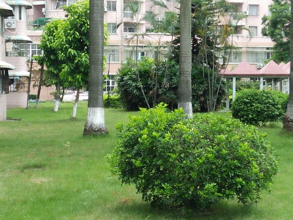 广信金兰花园 金信路1号 广州广信金兰花园二手房 租房 广州安居客