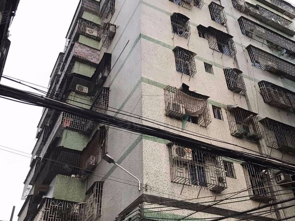 台东路9号小区 台东路9号 台山台东路9号小区二手房 租房 台山安居客