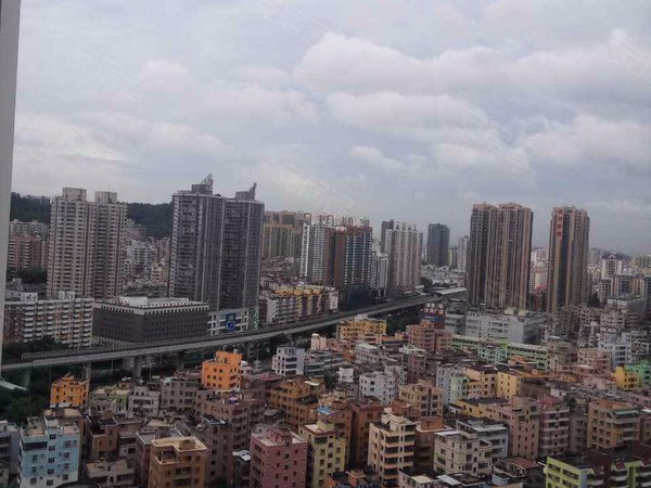 艺术大厦,湖西路-深圳艺术大厦二手房、租房