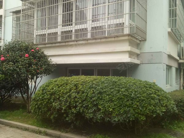 温州小区 永嘉小区 瓯北小区 五中花园 实景图 1/ 11  