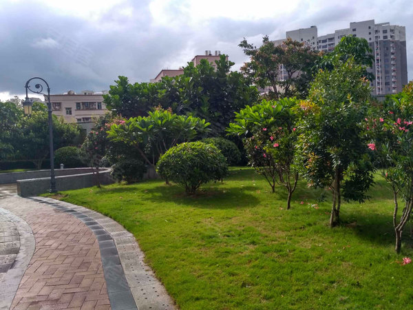 上合花园