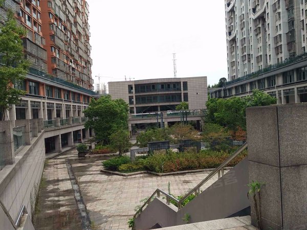 杭州小区 滨江小区 区政府小区 湘云雅苑 实景图 1/ 25  