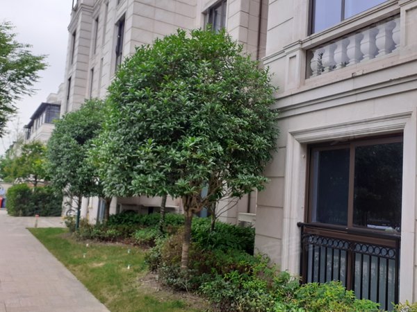 绍兴小区 上虞小区 大通小区 嘉悦花园实景图 1/ 21  