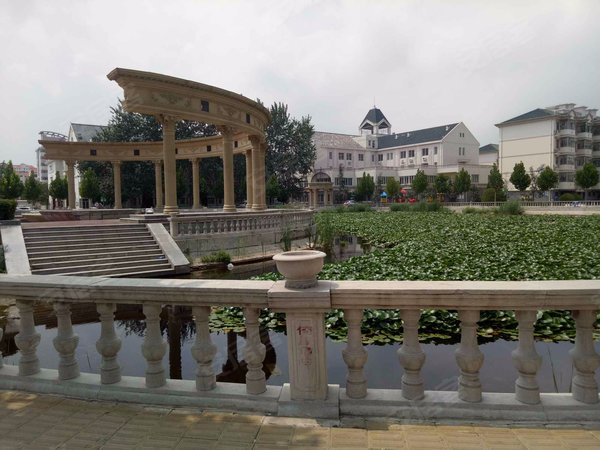 天津小区 武清小区 杨村街小区 松鹤园小区 实景图 1 13&