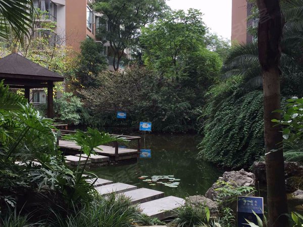 成都房产网>成都小区>龙泉驿小区>滨河片区小区>锦上城>实景图1/15