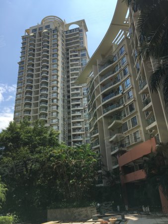 登良地铁,深圳湾人才公园,南山滨海大社区,蔚蓝