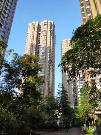 (鹏江公馆) 买一享两层 近地铁 70年产权-丘义旺店铺-南宁安居客