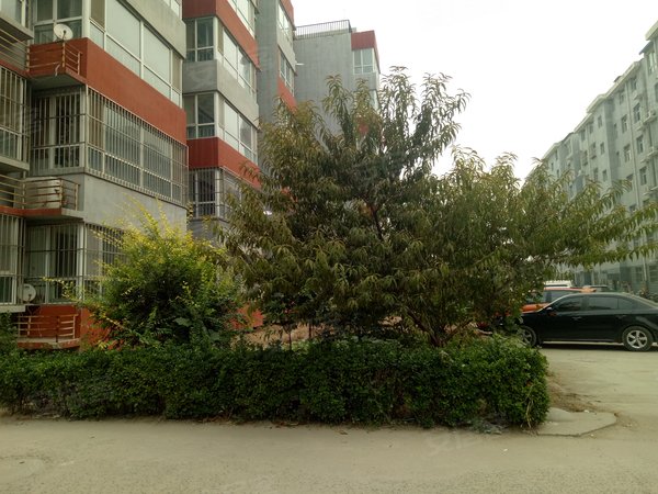 祥安公寓,嘉华路 - 石家庄祥安公寓二手房,租房,房价-石家庄安居客