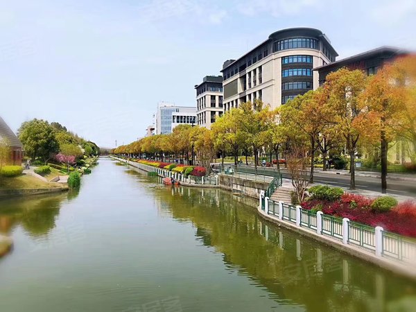 浦东花园独栋商墅) 可冠名总部丨沿河4层104地块丨可加工-上海58安居