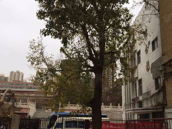 兰州电力学校家属院